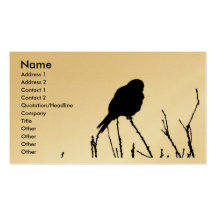 Carte de visite de crécerelle