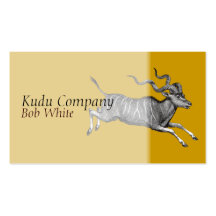 Carte de visite de Kudu
