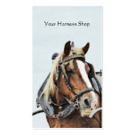 Carte de visite de magasin de harnais