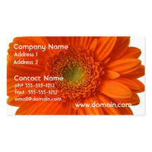 Carte de visite de marguerite orange