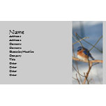 Cartes de visite photographie