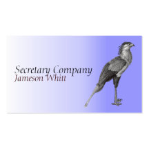 Carte de visite de secrétaire oiseau