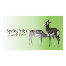Carte de visite de springbok