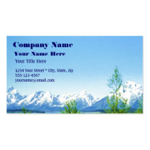 Carte de visite de VISION de Tetons de ressort