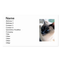 Carte de visite distant de chat siamois