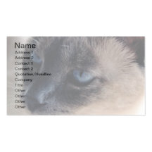 Carte de visite distant de chat siamois