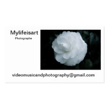 Carte de visite Mylifeisart photographe