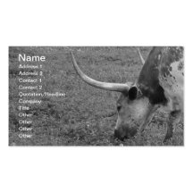 Carte de visite noir et blanc du Texas Longhorn