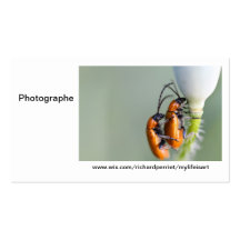 Carte de visite Photographe R.P