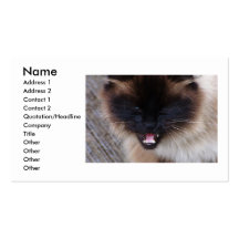 Carte de visite siamois de chat de Kitty de Persan