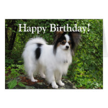 Carte de voeux d'anniversaire ou de Papillon