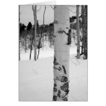 Carte de voeux d'arbre du Colorado Aspen