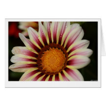 Carte de voeux de fleur