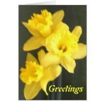 Carte de voeux de jonquilles