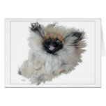Carte de voeux de Pekingese