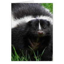 Carte de voeux de photo de mouffette