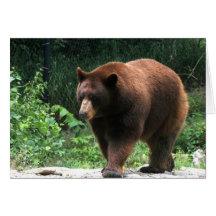 Carte de voeux de photographie d'ours