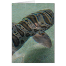 Carte de voeux de requin de tigre