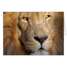Carte de voeux d'images de lion