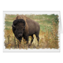 Carte de voeux en bois de bison