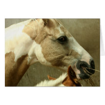 Carte de voeux grise de cheval de concours complet