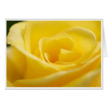 Carte de voeux rose