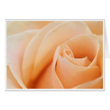 Carte de voeux rose
