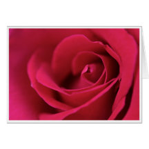 Carte de voeux rose