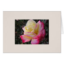 Carte de voeux rose