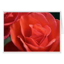 Carte de voeux rose