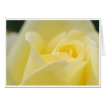 Carte de voeux rose