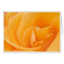 Carte de voeux rose