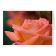 Carte de voeux rose