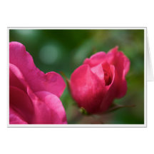 Carte de voeux rose