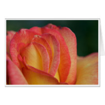 Carte de voeux rose