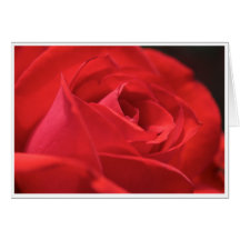 Carte de voeux rose