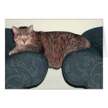 Carte de voeux sauvage de Bill de gros chat