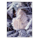 Carte de Winterscapes