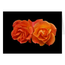 Carte, deux roses parfaits d'abricot "