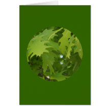 Carte, "feuille en cercle" J-1