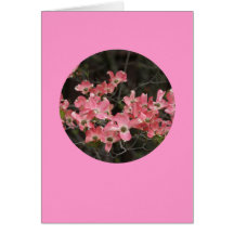 Carte, "fleurs de cornouiller en cercle" # 5