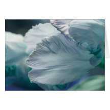 Carte florale avec le pétale de tulipe