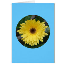 Carte, "marguerite jaune de Gerber en cercle" C-1