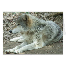 Carte mexicaine de loup