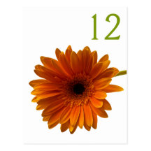 Carte orange de nombre de Tableau de marguerite de Cartes Postales