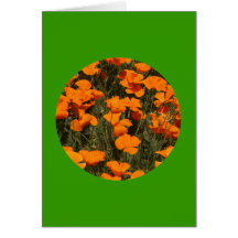 Carte, "pavots de Californie en cercle" # 4
