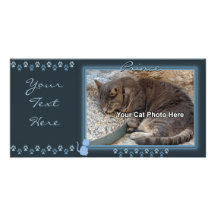 Carte photo bleu de cadre de Kitty Cartes De Vœux Avec Photo