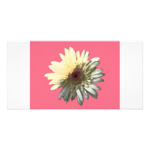 Carte photo de marguerite cartes de vœux avec photo