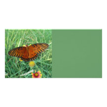 Carte photo de papillon carte avec photo