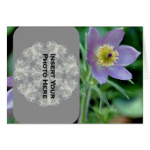 Carte photo pourpre de fleur de Pasque